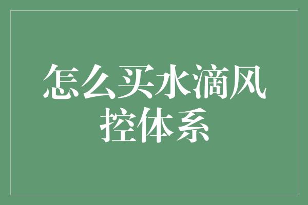 怎么买水滴风控体系