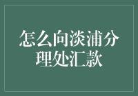 如何通过线上渠道向淡浦分理处安全汇款：一份专业指南