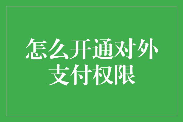 怎么开通对外支付权限