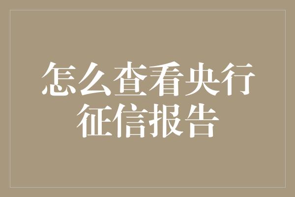 怎么查看央行征信报告