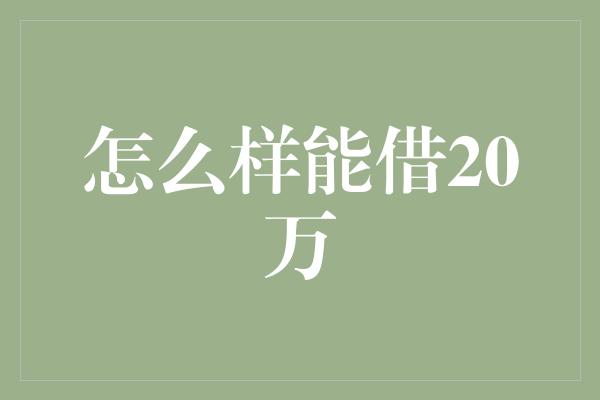 怎么样能借20万