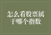 股市风云中的指路明灯——如何判断股票属于哪个指数