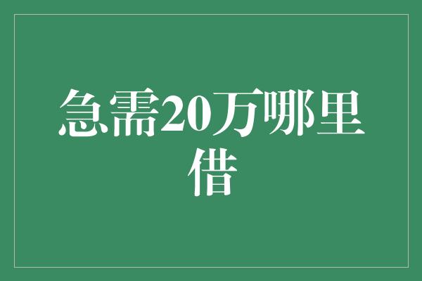 急需20万哪里借