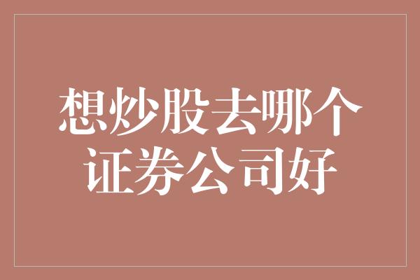 想炒股去哪个证券公司好