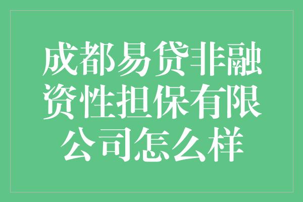 成都易贷非融资性担保有限公司怎么样