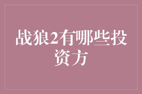 战狼2有哪些投资方