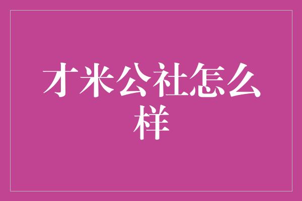 才米公社怎么样