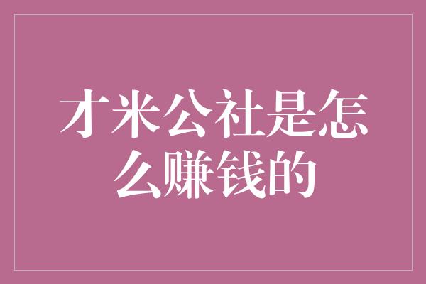 才米公社是怎么赚钱的