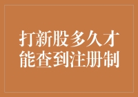 新股老手的烦恼：注册制下打新股多久才能查到？