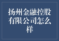 扬州金融控股有限公司：金融创新的前沿阵地与扬州经济发展的坚实后盾