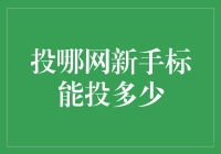 投哪网的新手标额度挑战：从零到英雄的奇幻之旅