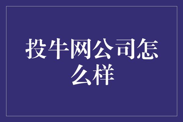 投牛网公司怎么样