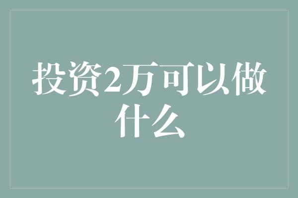 投资2万可以做什么