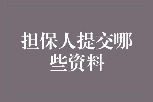 担保人提交哪些资料