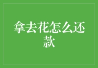 拿去花怎么还款？有一种还款叫眼神还款