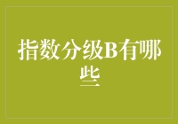 指数分级B的那些事儿：你不知道的秘密