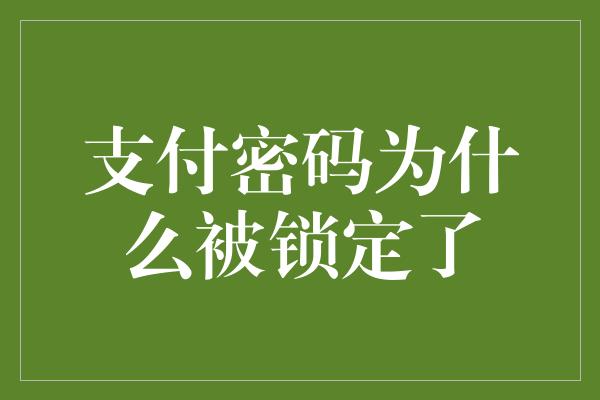 支付密码为什么被锁定了