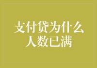 支付贷人数已满的启示：企业如何应对需求激增