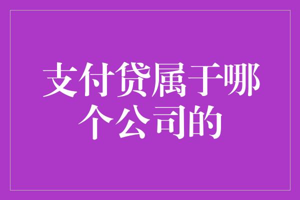 支付贷属于哪个公司的