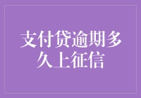 支付贷逾期多久上征信：把握关键期限避免信用污点