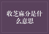 收芝麻分：一场关于信用的奇妙冒险