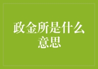 政金所为何物？揭秘其背后的金融逻辑