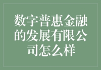 数字普惠金融的发展有限公司：潜力、挑战与前景