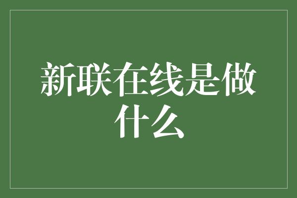 新联在线是做什么