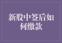 新股中签后如何缴款：全面解析与实操指导