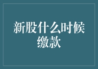 新股申购缴款新规则：掌握最佳缴款时机