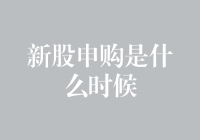 新股申购指南：从新手到新股王的华丽变身