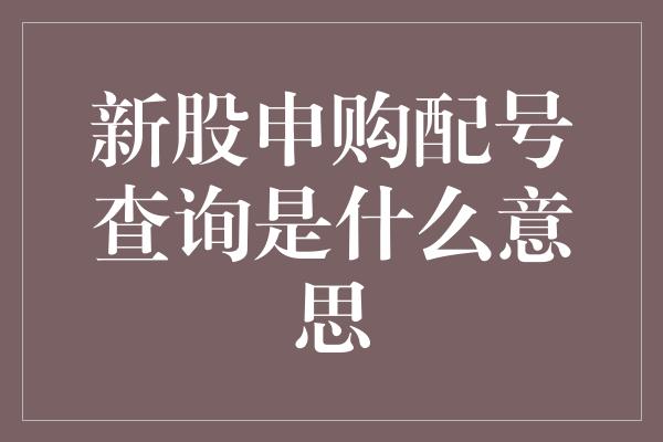 新股申购配号查询是什么意思