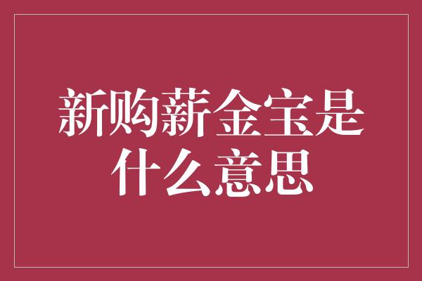 新购薪金宝是什么意思