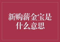 薪金宝：数字化时代的新兴薪资管理模式