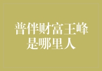 普伴财富王峰的成长之路：从山东到金融界的领军人物