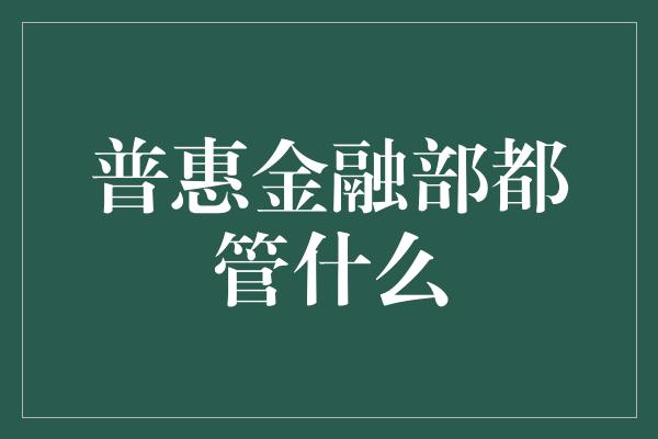 普惠金融部都管什么