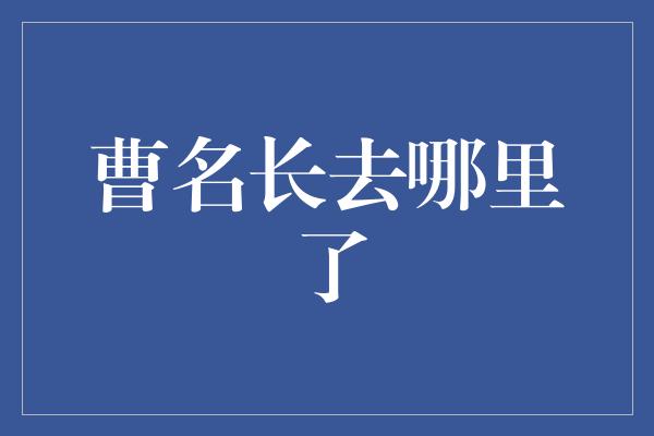 曹名长去哪里了