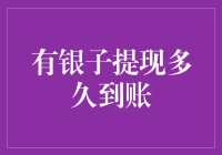 你的银子提现出账了？速度，速度，是灵魂之所在！