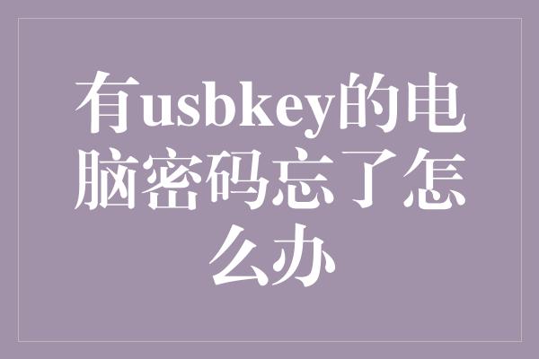 有usbkey的电脑密码忘了怎么办