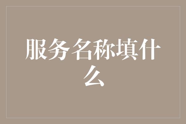 服务名称填什么