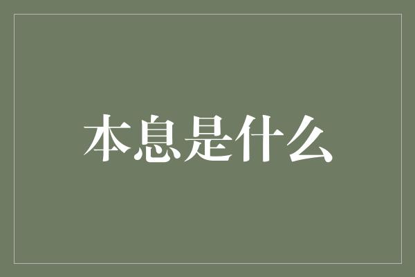 本息是什么