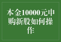 本金10000元申购新股的全流程解析与风险提示