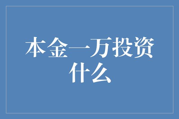 本金一万投资什么