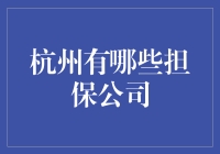 杭州的新兴担保公司：探索金融服务新领域