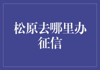 松原市居民如何办理个人征信查询：一份详尽指南