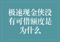 极速现金侠没有可借额度是为什么