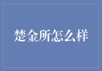 楚金所：数字金融新时代的领航者