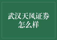 武汉天风证券：新兴的力量还是未知的风险？