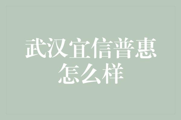 武汉宜信普惠怎么样