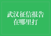 武汉征信报告，打哪儿来？